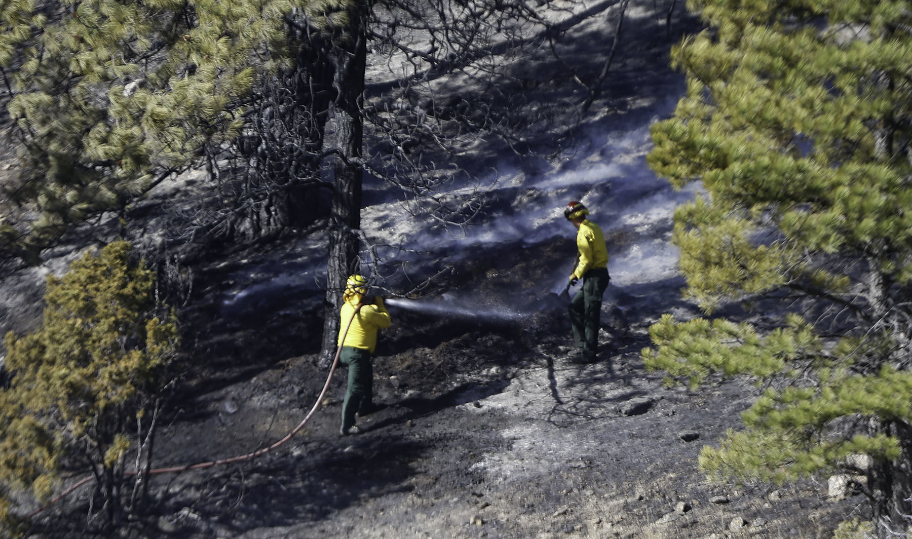Birdseye Fire